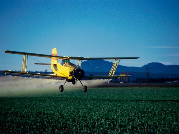 Use of insecticides has decreased in GMOs.