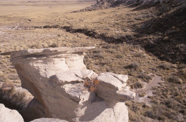 Desert watercourses may be dry for months or years.