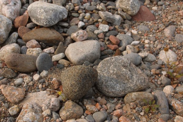 Conglomerates and breccias are made up of gravels with varying sediment sizes.