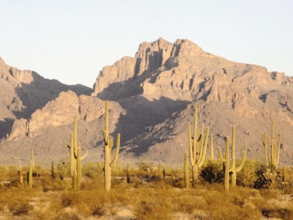 Rugged mountains rise from the desert basins of the American Southwest.