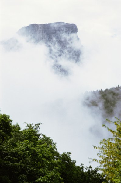 Many rain forests exist on mountainous terrain.