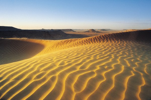 Dunefields cover substantial portions of the Sahara, the world's largest hot desert.