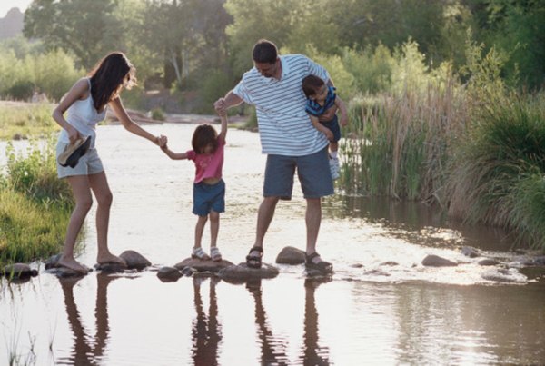 Ecosytems at ponds are affected by many factors, including human contact.