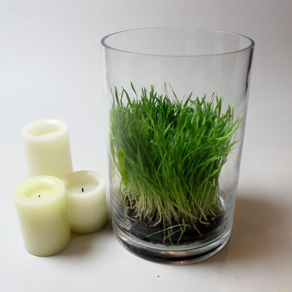 Abra espaço para as velas entre a grama
