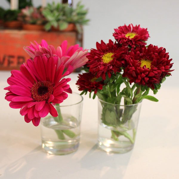 Coloque flores no caixote