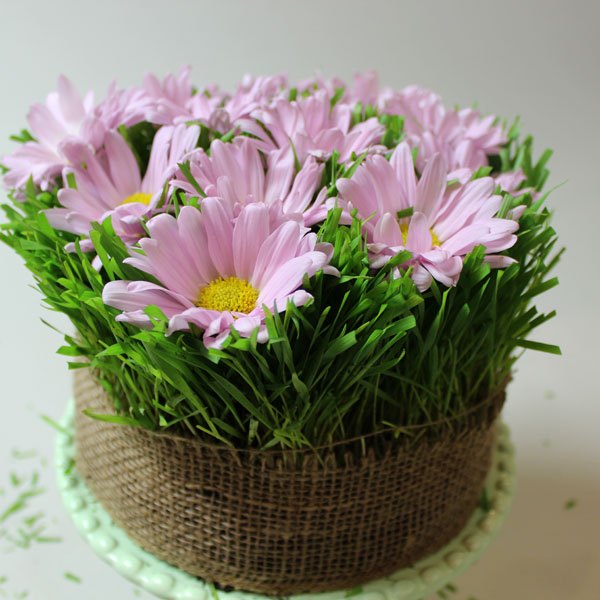 Posicione algumas flores sobre o bolo de grama