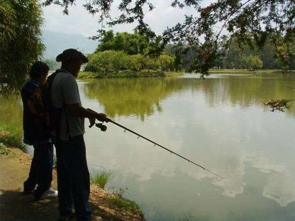 Fishing in sunny weather