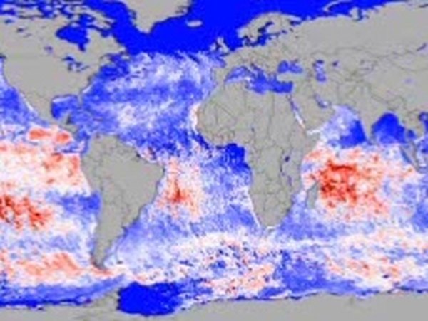 This sattellite image shows photosynthetic activity in the ocean by plankton.