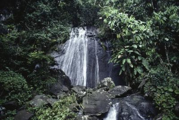 Waterfall in forest.