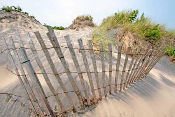 Wind breaks can slow erosion.