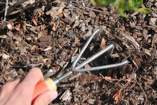 How to Stop Weeds From Growing Through Mulch | Home Guides | SF Gate