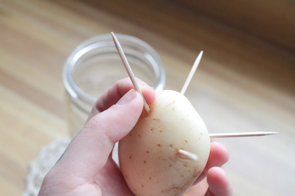 Insert toothpicks into your potato.