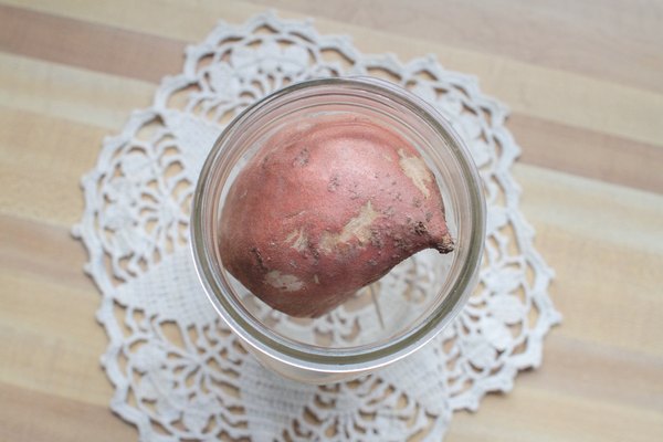 Resting the sweet potato in the jar.