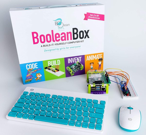Build a computer then learn to code with this kit.