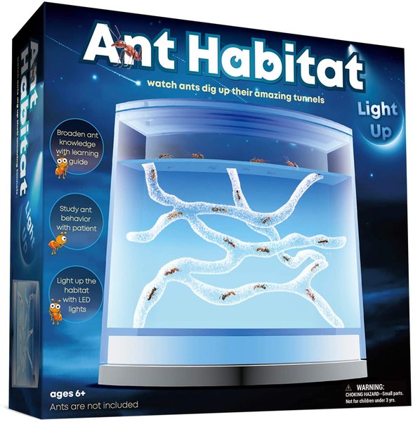 Ant habitat science kit.