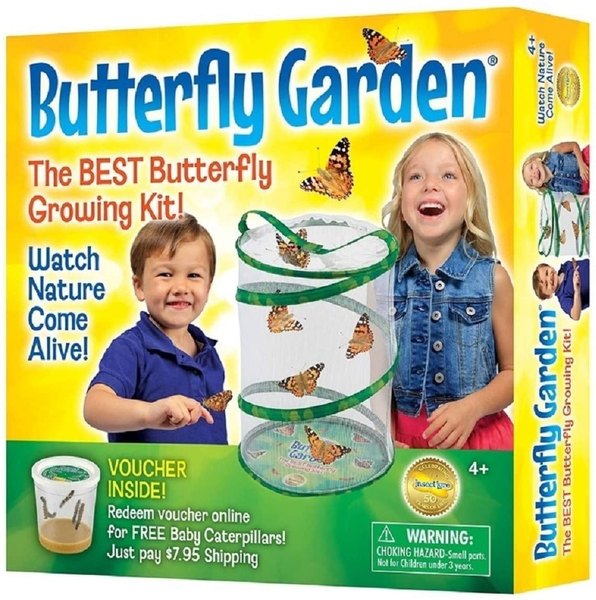 Butterfly science kit