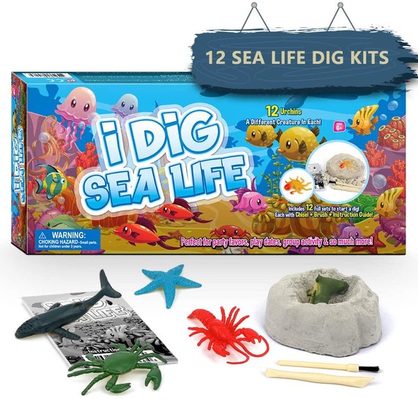 marine biology science kits