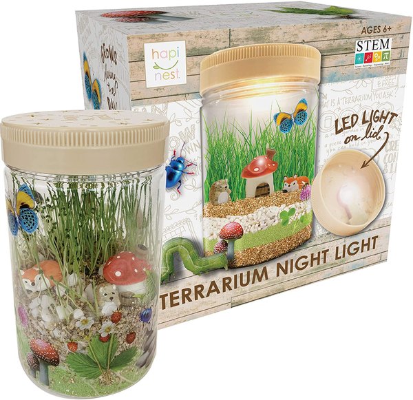 Light Up Terrarium Kit