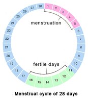 What Causes Early Periods? | eHow