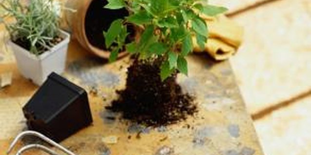How To Build A Garden Tool Hanging System