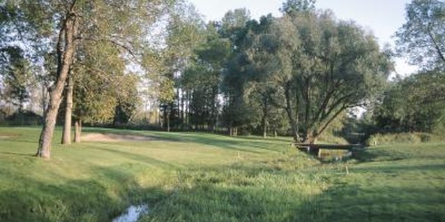 How To Fill In A Ditch In A Backyard