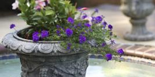 How To Make A Teacup Planter