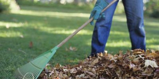 do leaves decompose on their own do leaves decompose on their own