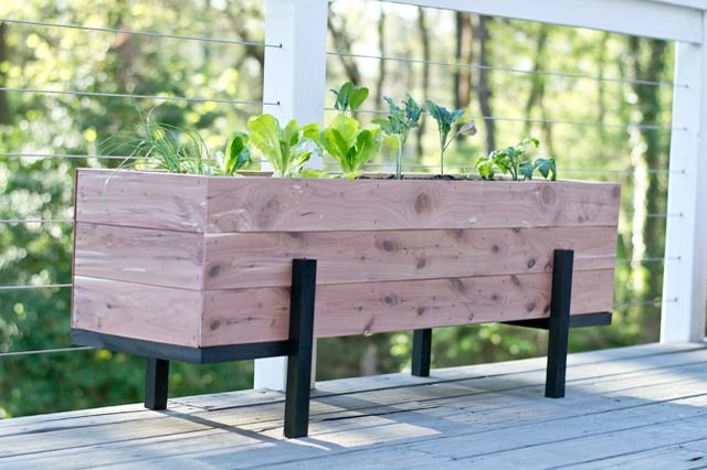 DIY balcony salad garden