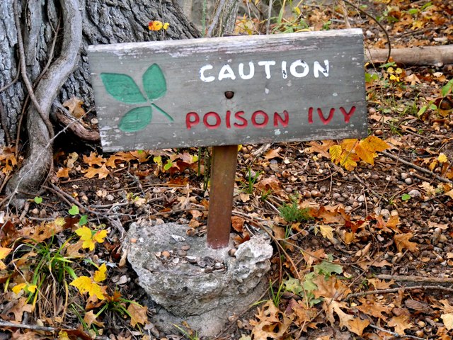 Poison Ivy warning sign