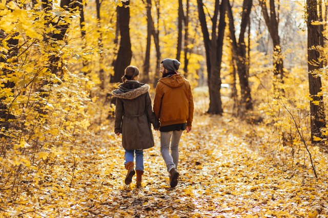 fall foliage hiking