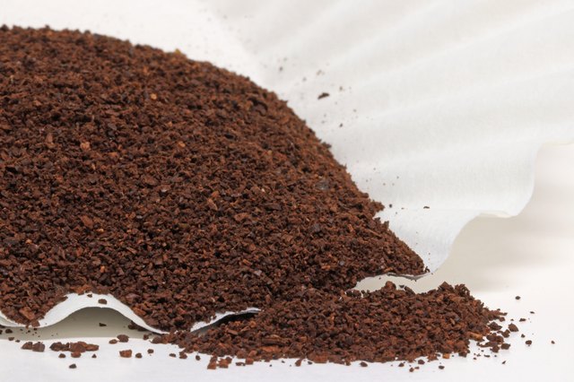 Roasted ground coffee beans poured on paper coffee filter ready for brewing