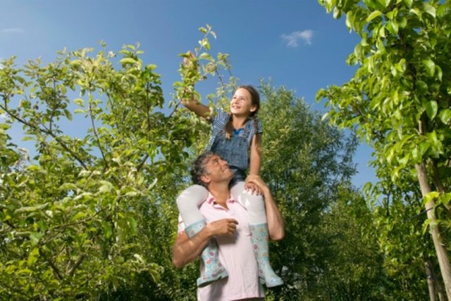 How to Fertilize Fruit Trees with Horse Manure | eHow