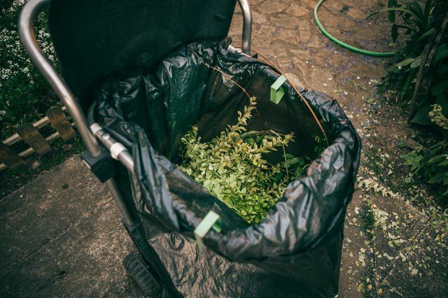 green bin garden filled with green leaves for recicling