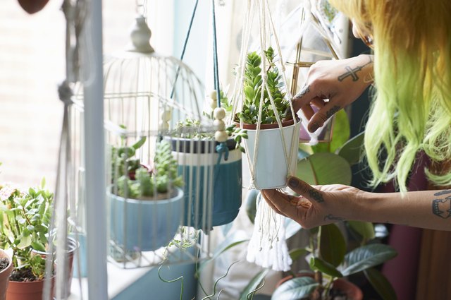 Young hipster woman tending to her succulent houseplants