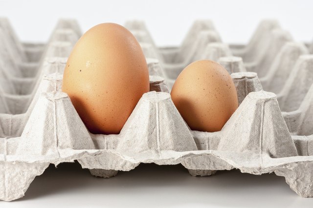 Eggs