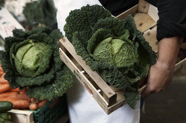 Male market stallholder holding green cabbages