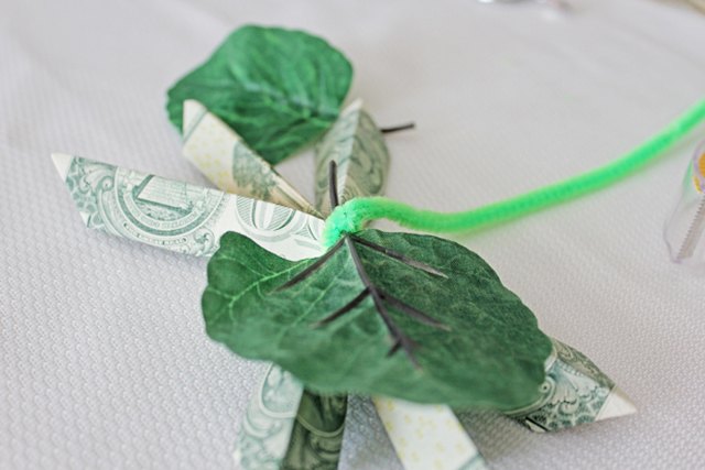 How To Make A Graduation Money Lei With Pictures Ehow - 