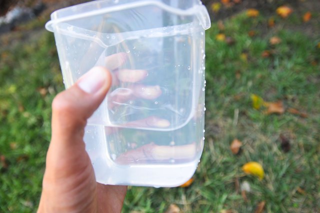 Survivalist: How to Treat and Drink River Water | eHow