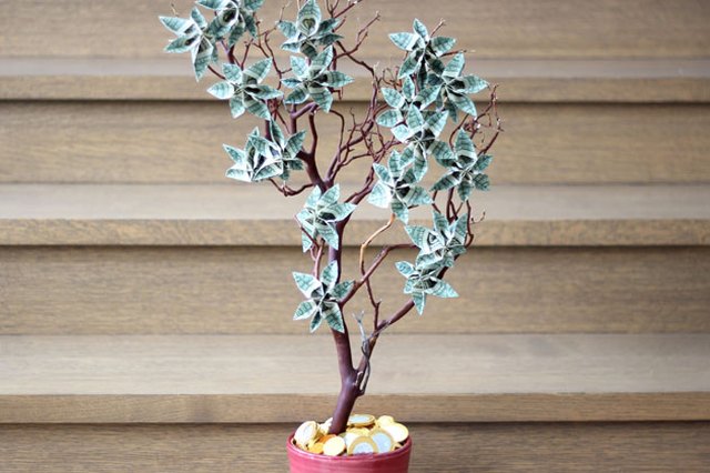 How To Make A Money Tree Ehow - a money tree is a great way to give cash as a present