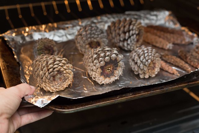 How to Make Pine Cones Open (with Pictures) | eHow