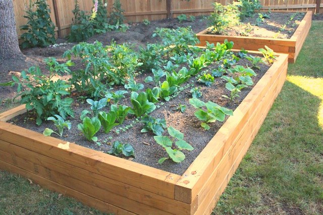 How to Build a Raised Bed Garden | eHow