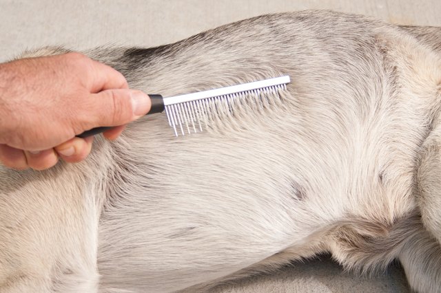 How to Rub Listerine to Kill Demodex Mites (with Pictures) | eHow