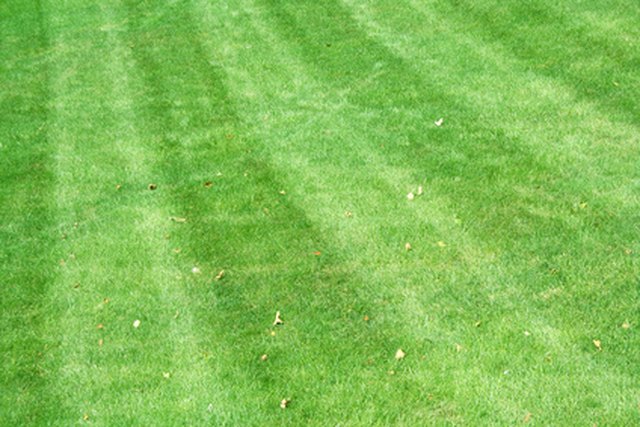 How To Change The Belts On A Craftsman Dlt 3000 Riding Mower Ehow A Motion Drive Belt Allows The Blades To Cut Better