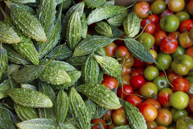 The Best Vegetables To Grow In Hawaii Ehow Bitter Melons And Tomatoes Harvested From A Garden In Hawaii