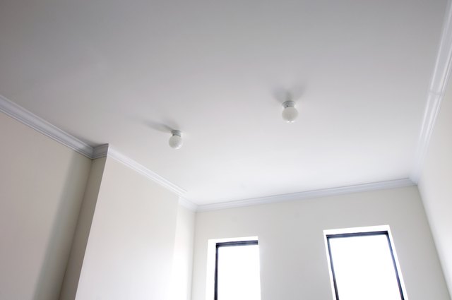 Bugs In The Ceiling Ehow Bat Bugs And Bedbugs Often Hide Near Ceilings In Light Fixtures