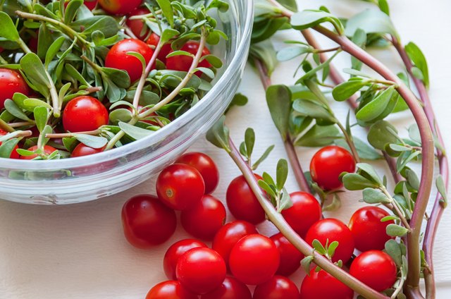 Fresh salad of common purslane and cherry tomatoes