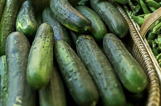 A basket of cucumbers on display at the local farmers market.