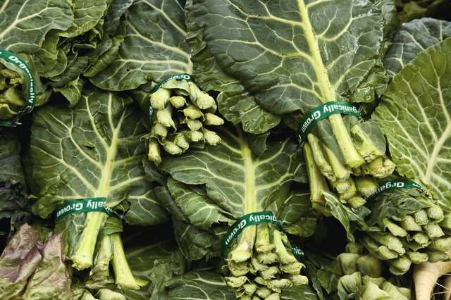 Bundles of collard greens