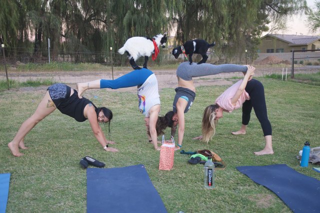 These 16 Unique Yoga Classes Let You Try Some Far-Out 