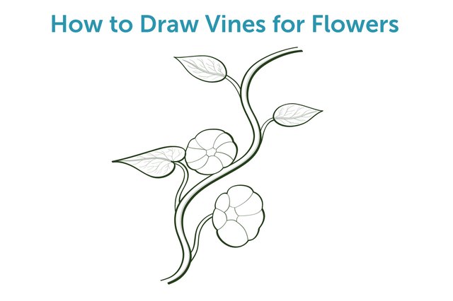 How to Draw Vines for Flowers | eHow